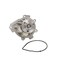 Dayco Water Pump, DP191 DP191 - alternate 2